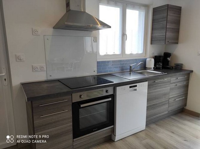 Margouillat 9 [800x600]