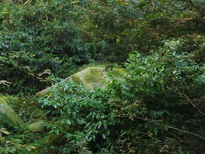 Le sabot de Gargantua