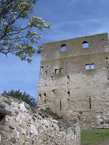 Conflans-Sainte-Honorine : tour Montjoie