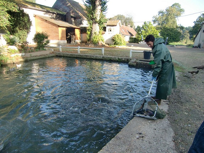 Boutique de la Pisciculture de Villette