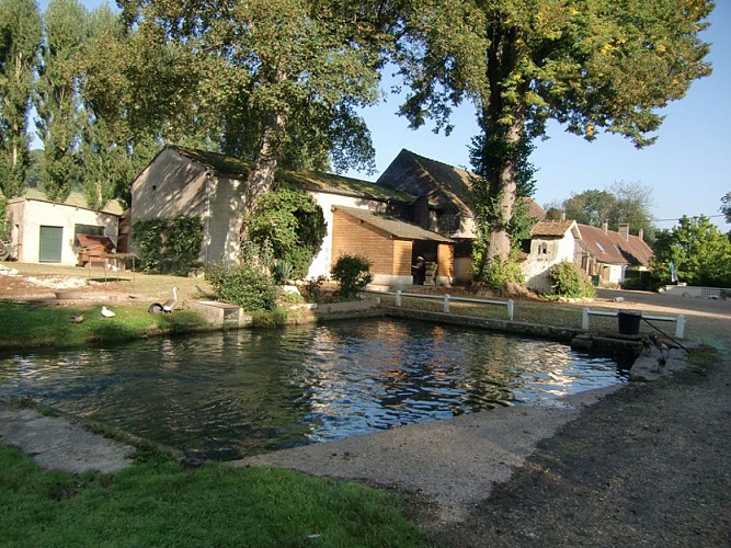 Boutique de la Pisciculture de Villette