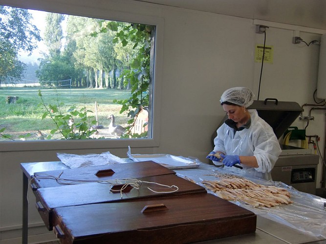 Pisciculture de Villette