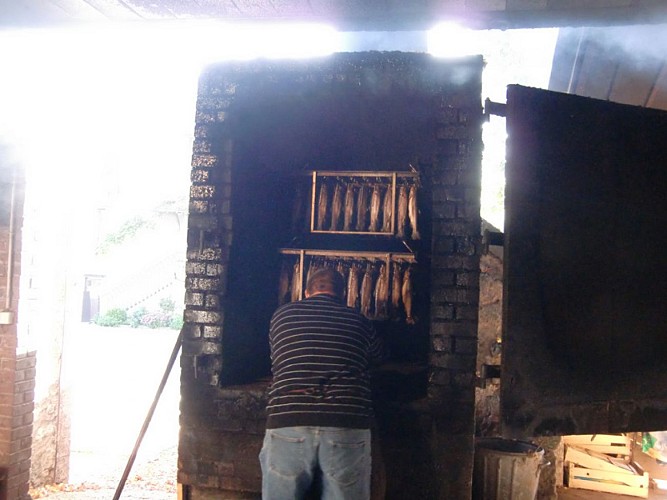 Pisciculture de Villette