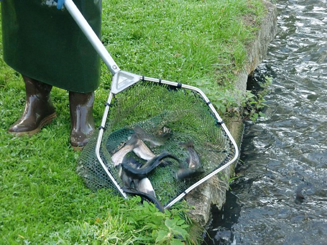 Pisciculture de Villette