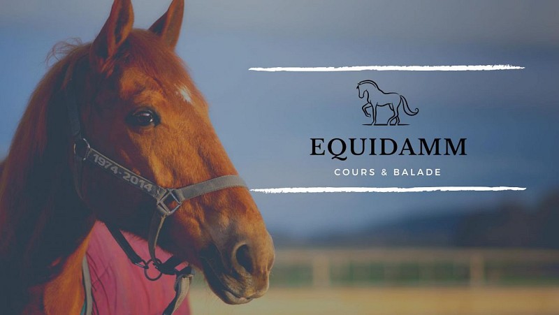 Equidamm