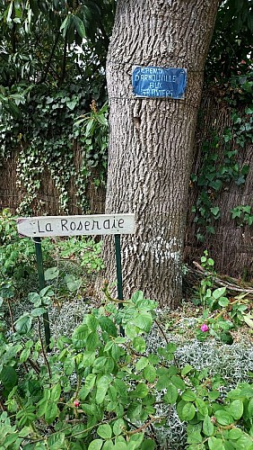 Roseraie du Clos Paradénia