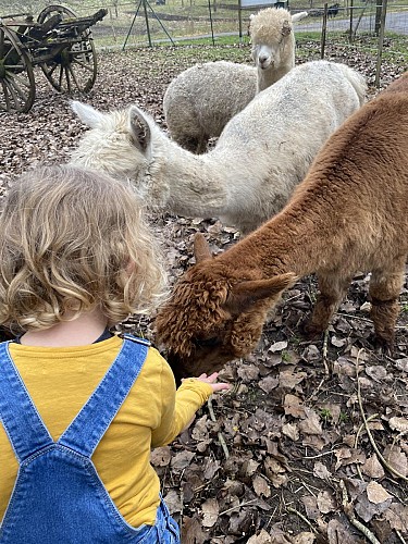Malowe Nature, ferme pédagogique