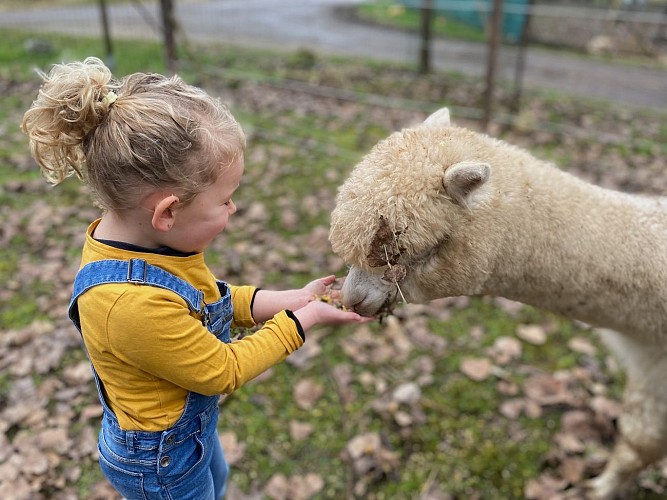 Malowe Nature, ferme pédagogique