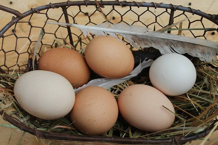 La Boutique fermière de Malowe Nature