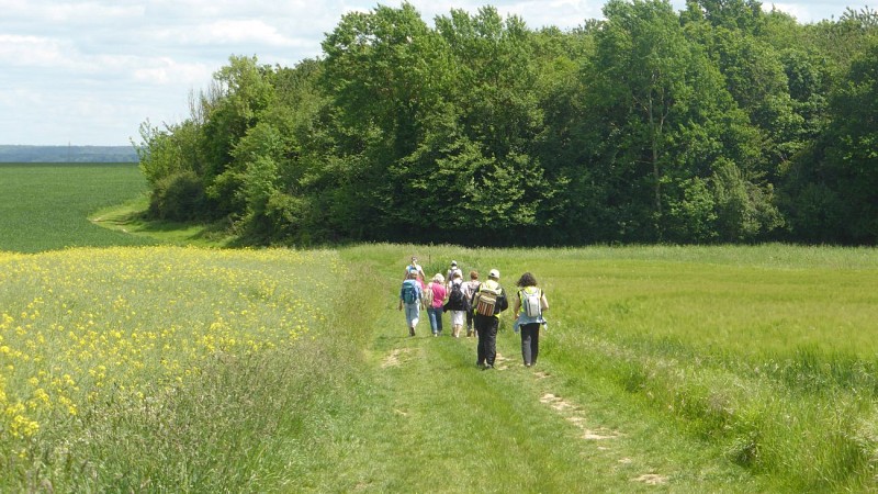 Office de Tourisme du Pays Houdanais