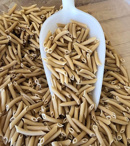 269676015_465527291814851_7063036110465507066_n