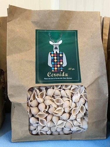 145069237_236914954676087_4676208815111971197_n