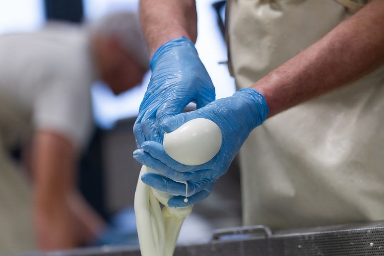 354062988_113400225117260_692431143936521605_n