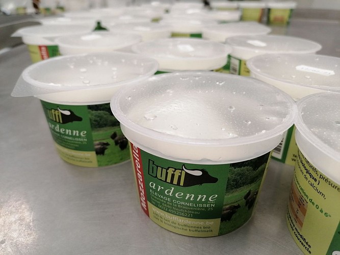 354075458_113399965117286_5171458130718635043_n