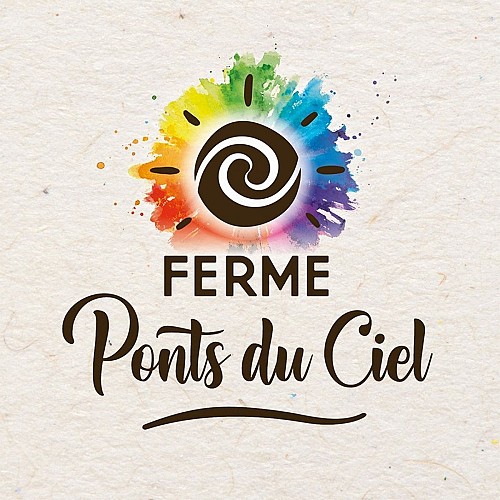 339572845_238953698521563_1019155073116342236_n