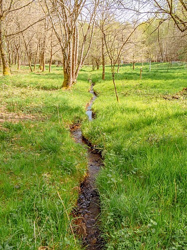 P1108251©OT Tulle en Corrèze