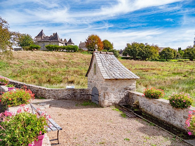 53250453888_3b7a6114a1_c