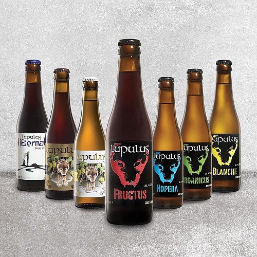 Lupulus variétés