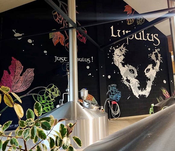 Lupulus brasserie à visiter