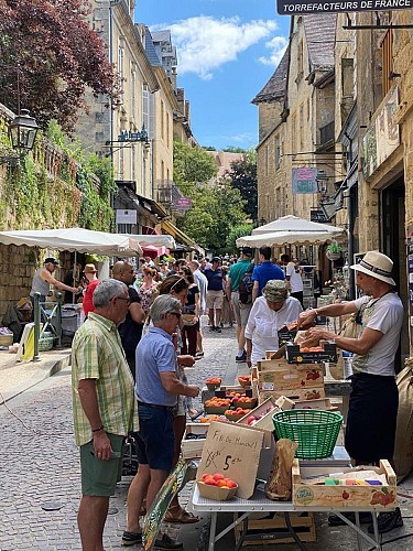 le flamboyant jaune (8) 6