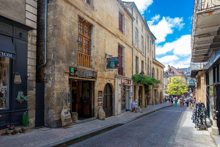 le flamboyant jaune (7)