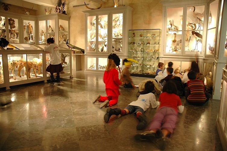 Museum Antoine Chintreuil