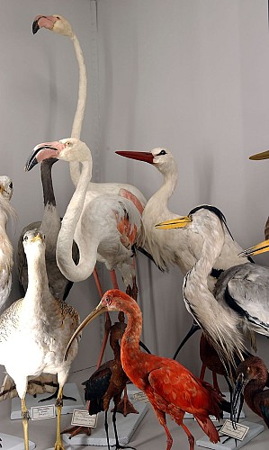 Antoine Chintreuil Museum