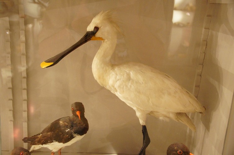 Antoine Chintreuil Museum