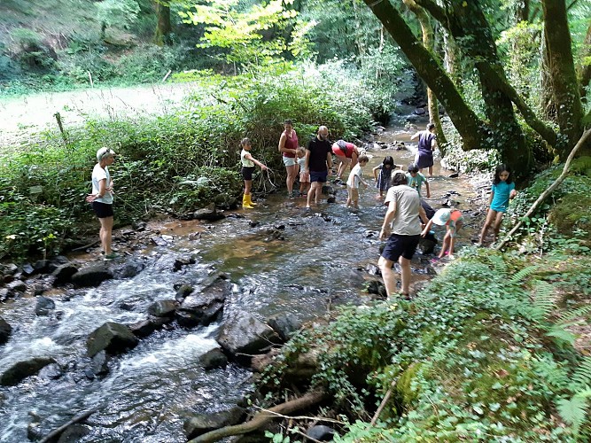 Atelier-découverte du Ruisseaud de Combejean, à Monceaux (19)_4