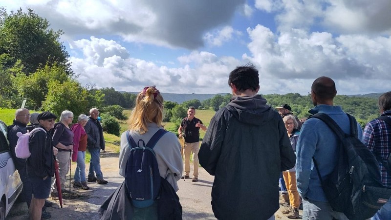 Balade-découverte du monde des arbres, à Monceaux (19)_5