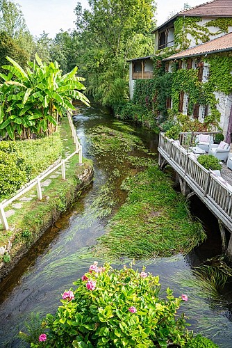 Moulin bord de l'eau-light
