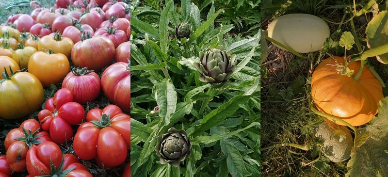 Le pot'ager des saveurs 