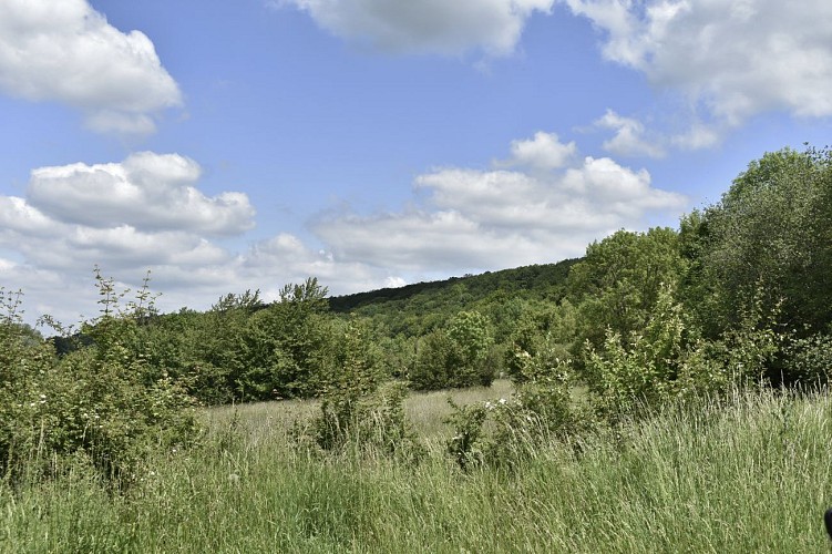 Visite Pont Hoddé (2)