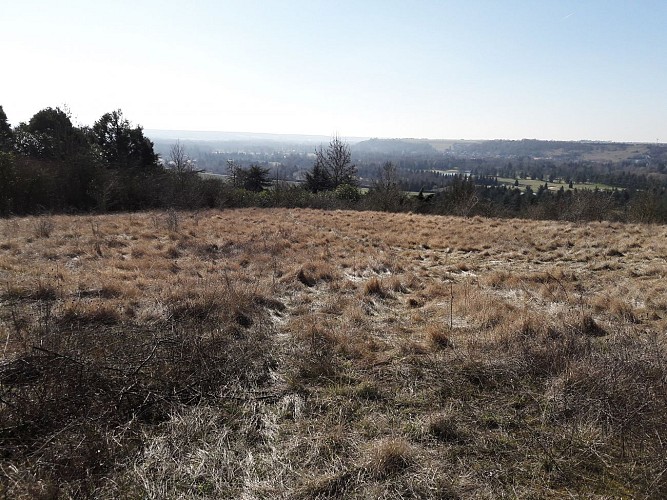 Côte de Nantilly (1)