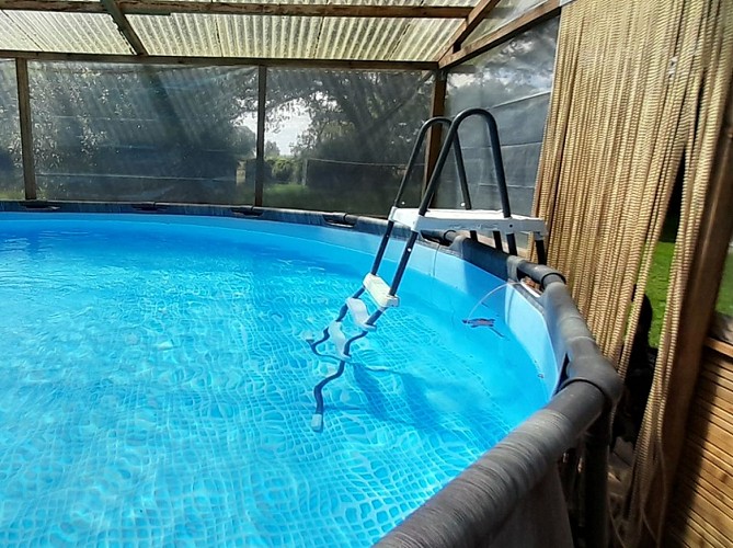 piscine Nedleys glamping