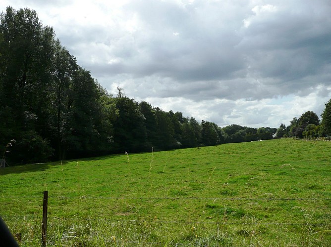 Bordure du bois