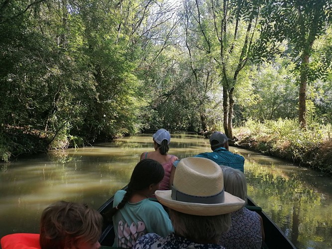 promenade guidée en barque au coeur du marais sauvage du Marais poitevin