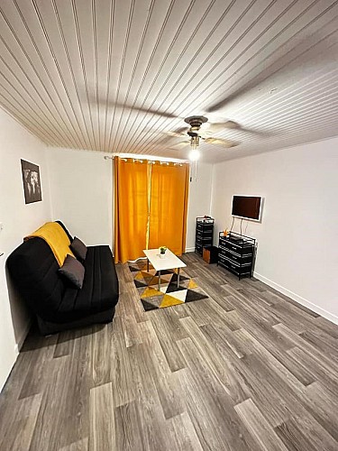 Chalon - Le Ponton de Manon - Coin salon 5 - MT - Hébergement (2)