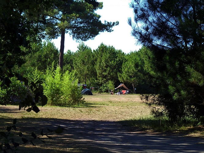 Camping Acacia1