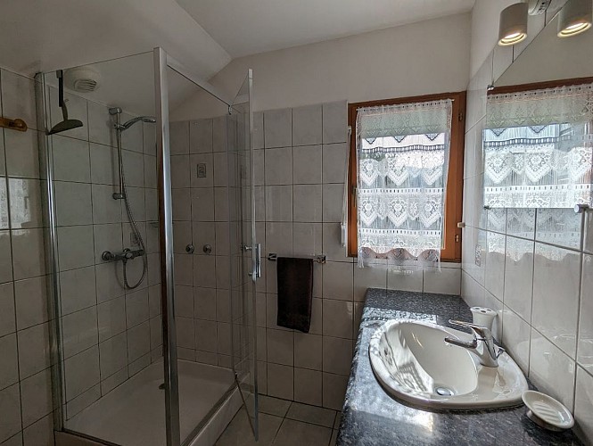 VIOLA ANGELO - CHALET - 10 PERS - SAULXURES SUR MOSELOTTE