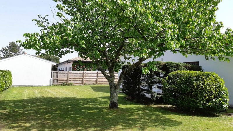 20190419_151715 [800x600]