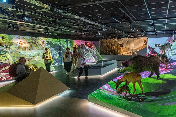 GALTA the Alpine Treasures Gallery