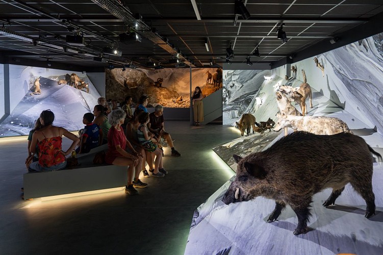 GALTA the Alpine Treasures Gallery