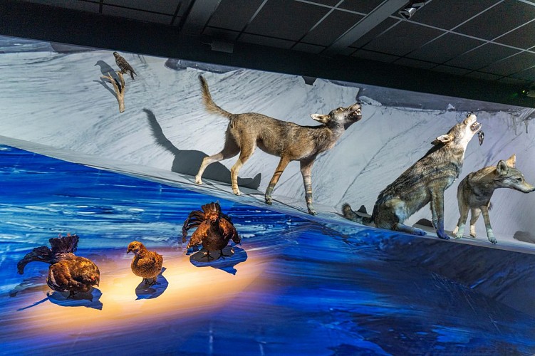 GALTA the Alpine Treasures Gallery