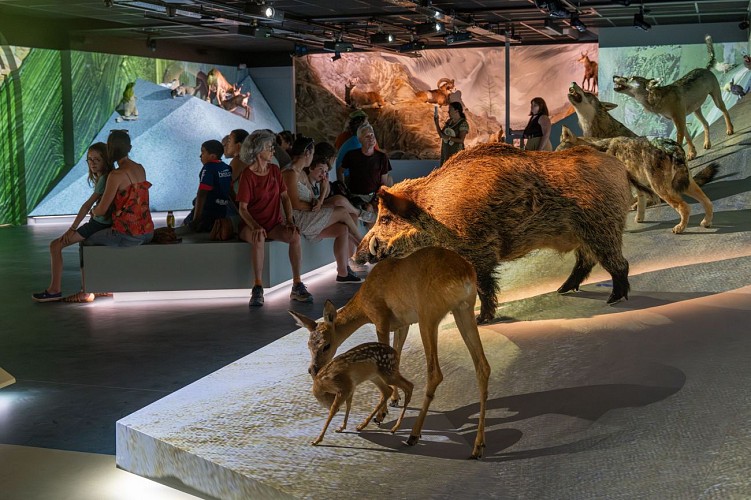 GALTA la Galerie des Trésors Alpins