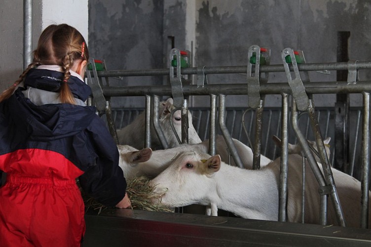 La Chèvre...rie - Geiten- en kippenboerderij