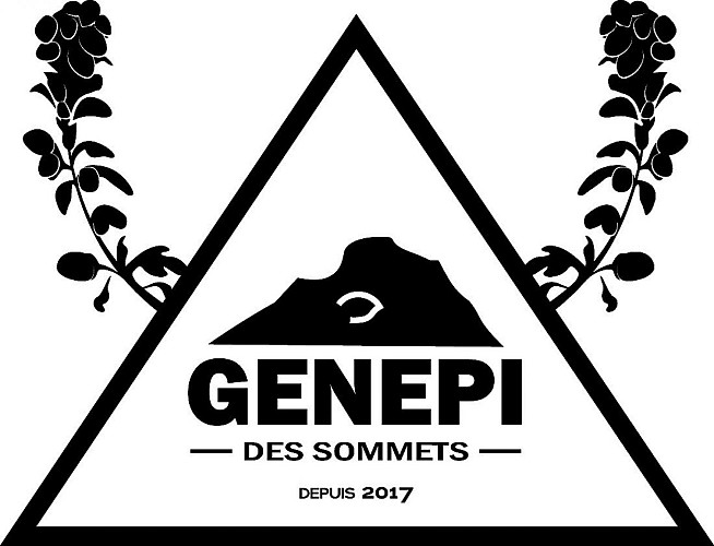 Genepi des sommets