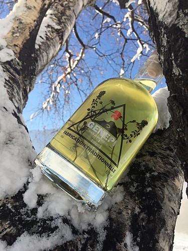 Produits régionaux - Genepi des sommets