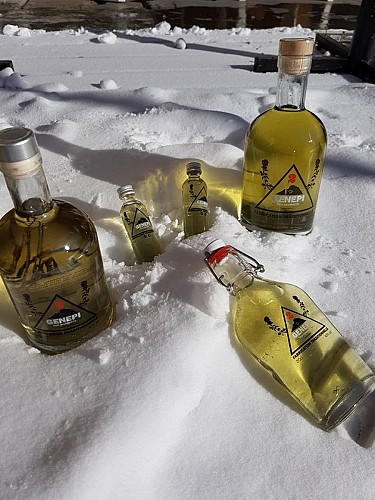 Produits régionaux - Genepi des sommets