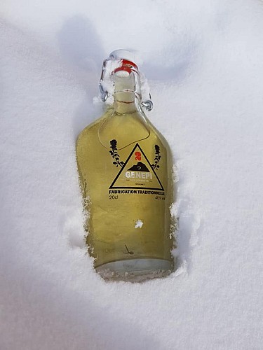 Prodotti regionali - Genepi des sommets